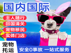 长海机场货运国际宠物托运 【国